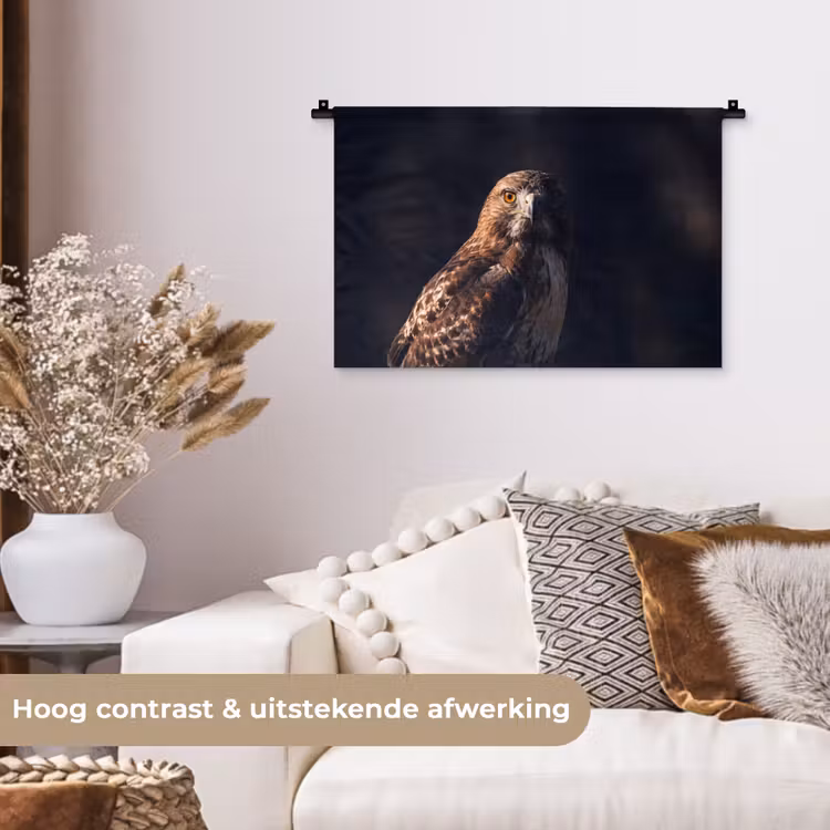 Wandkleed - Roofvogel - Buizerd - Bruin — 4