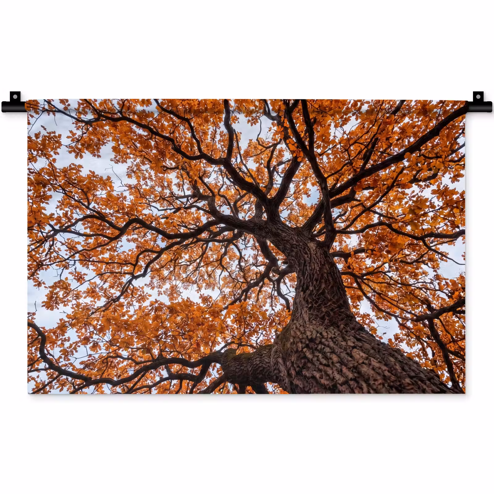 Wandkleed - Boom - Bladerdak - Herfst - Oranje - Sfeervol — 1