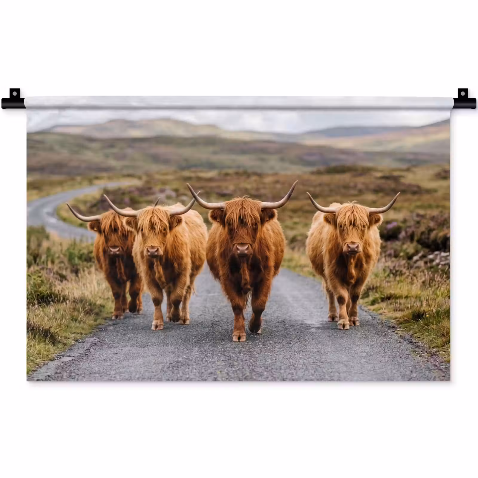Wandkleed - Schotse Hooglanders - Weg - Landschap - Kudde — 1