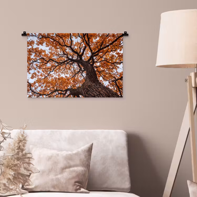 Wandkleed - Boom - Bladerdak - Herfst - Oranje - Sfeervol — 2