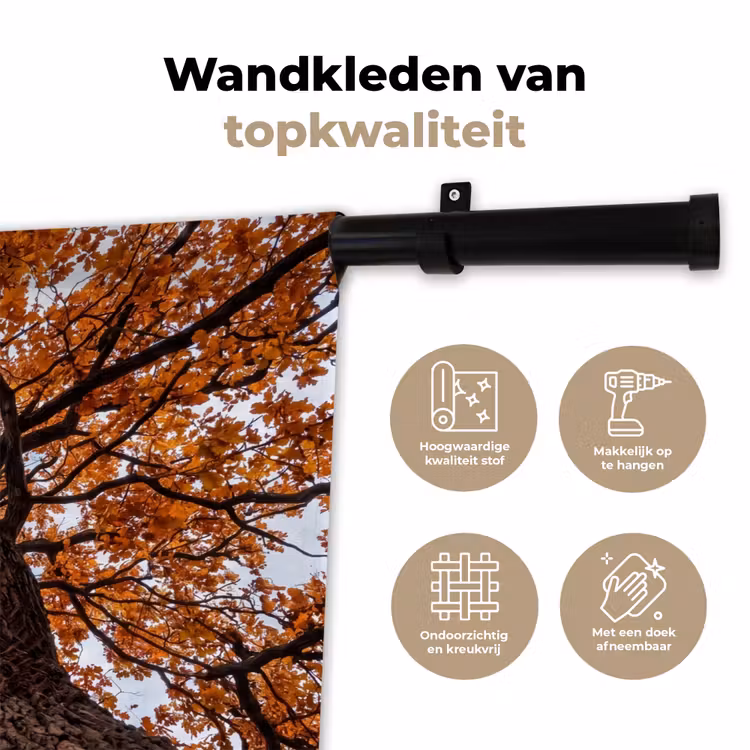 Wandkleed - Boom - Bladerdak - Herfst - Oranje - Sfeervol — 3