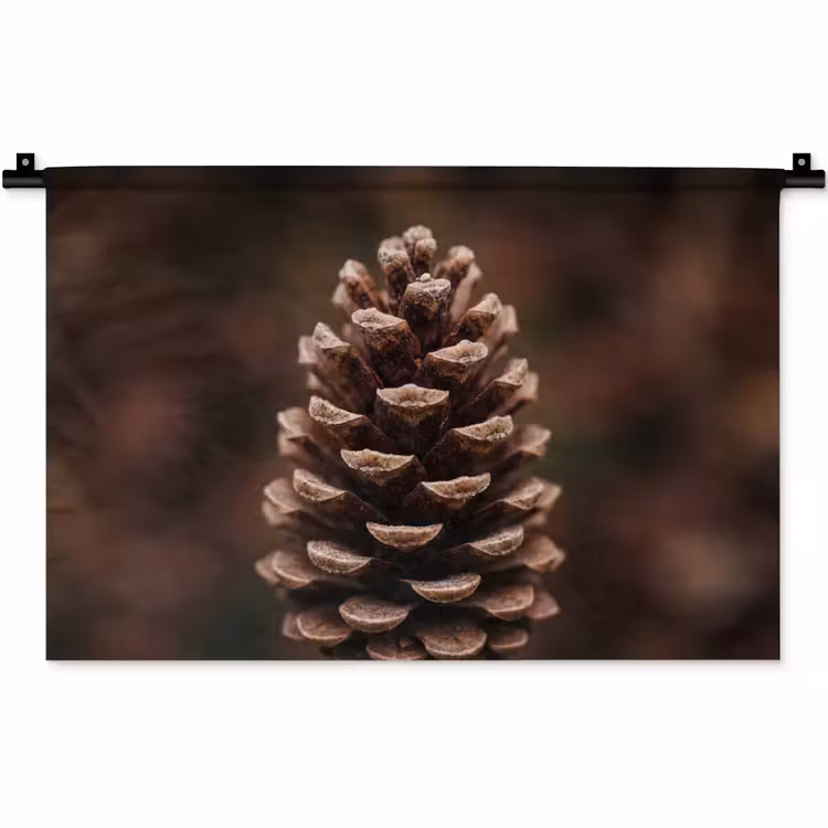 Wandkleed - Dennenappel - Bos - Herfst - Bruin - Sfeervol — 1