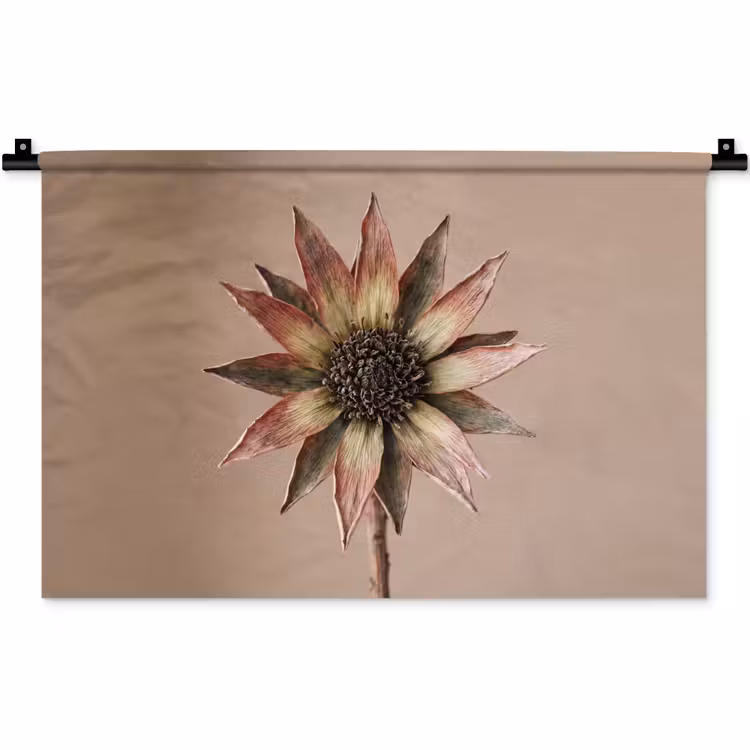 Wandkleed - Droogbloem - Protea - Vintage - Beige - Rustiek — 1