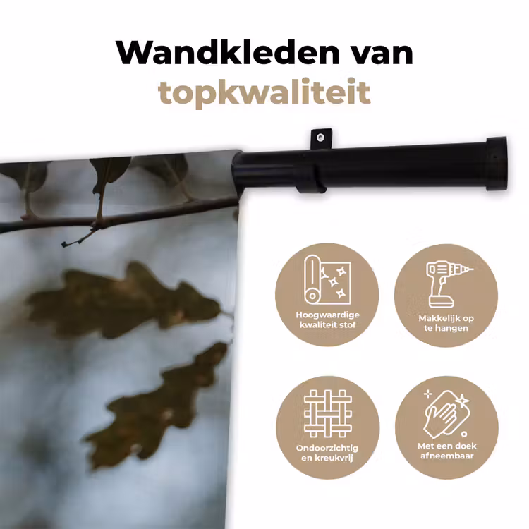 Wandkleed - Eikel - Eikenblad - Bos - Herfst - Natuur — 3