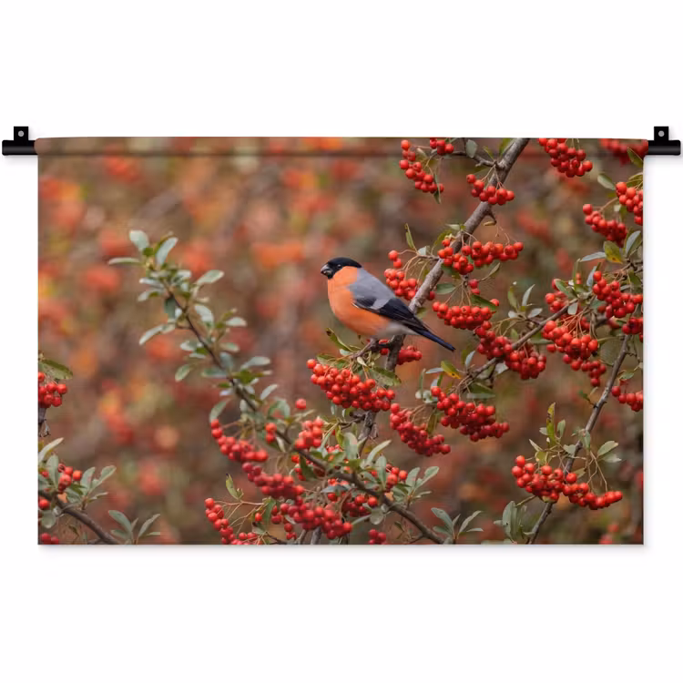 Wandkleed - Goudvink - Bessen - Herfst - Natuur - Kleurrijk — 1
