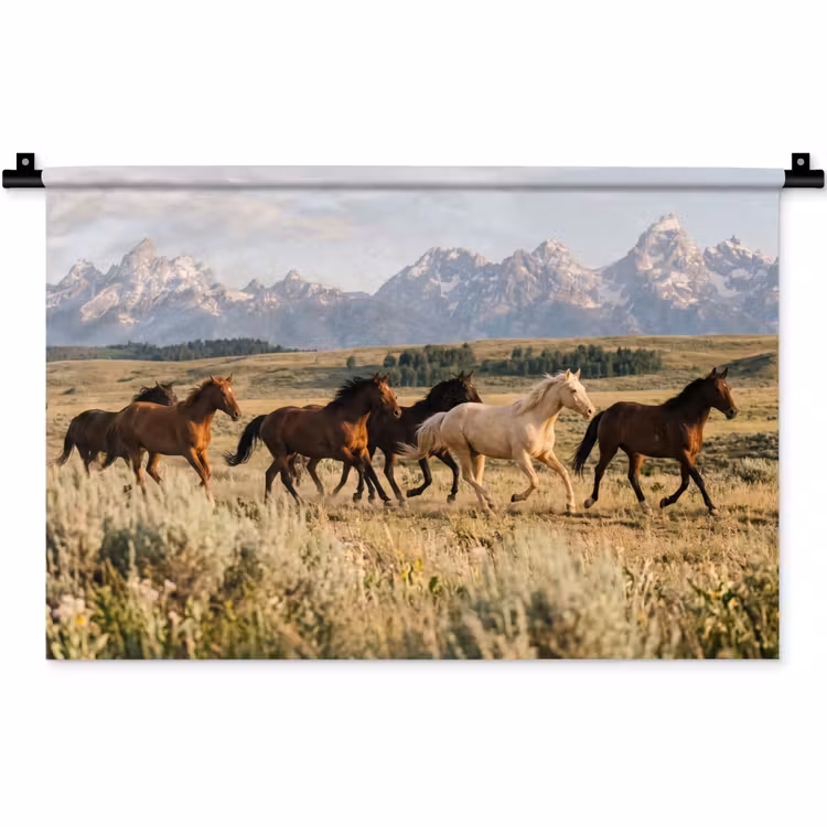 Wandkleed - Paarden - Kudde - Bergen - Vrijheid - Wild — 1