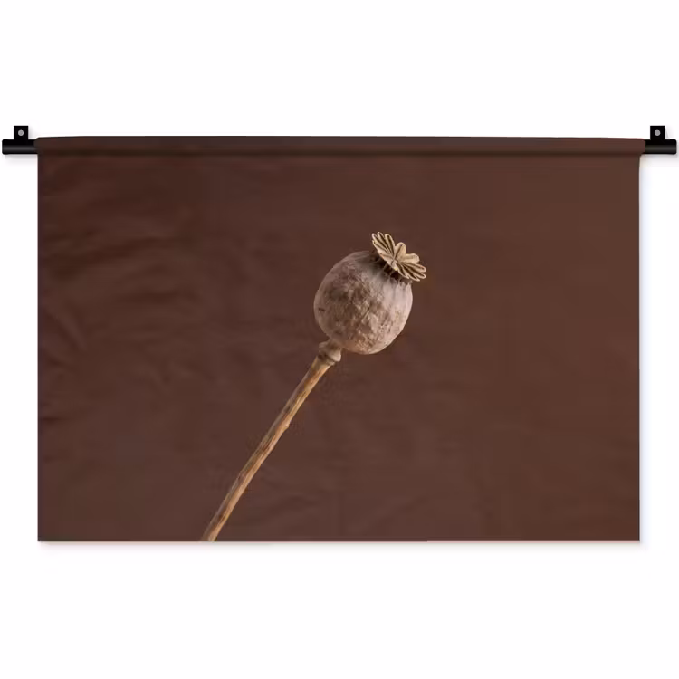Wandkleed - Papaverbol - Droogbloem - Bruin - Minimalistisch — 1