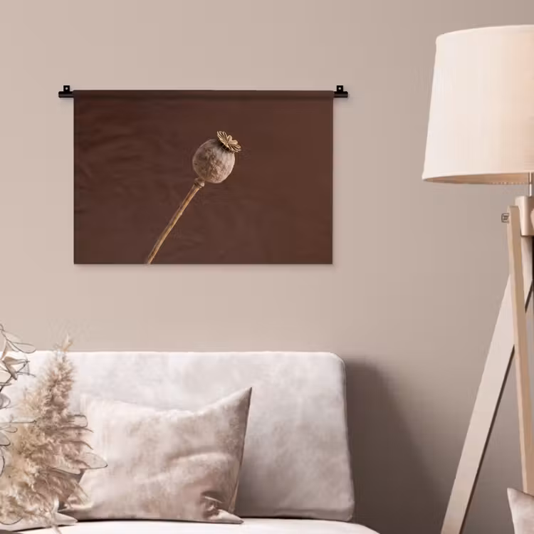 Wandkleed - Papaverbol - Droogbloem - Bruin - Minimalistisch — 2