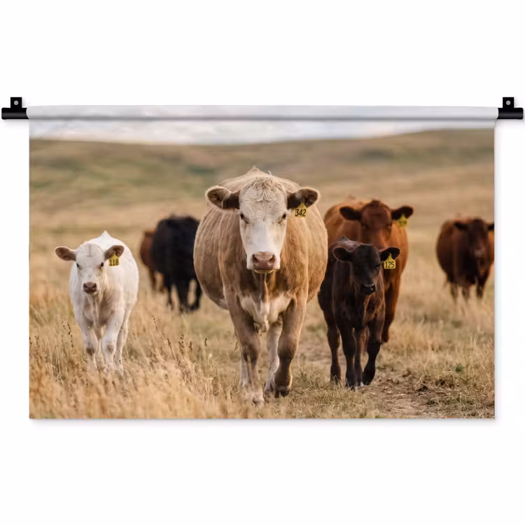 Wandkleed - Runderen - Kudde - Landschap - Weide - Rustig — 1