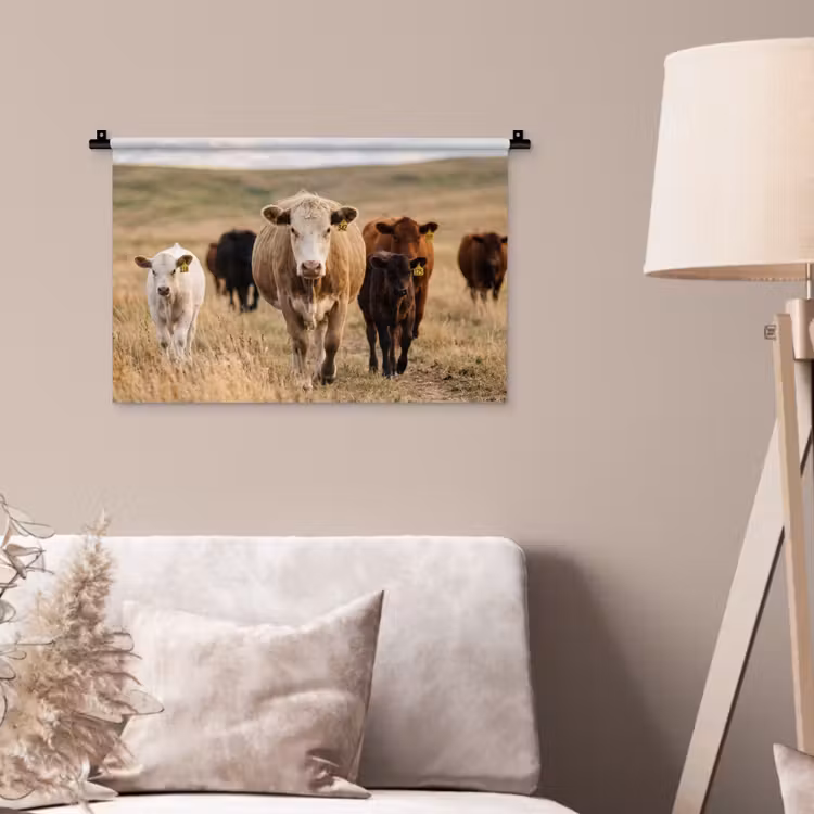 Wandkleed - Runderen - Kudde - Landschap - Weide - Rustig — 2