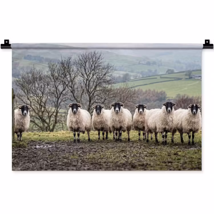 Wandkleed - Schapen - Rij - Weide - Dieren - Platteland — 1