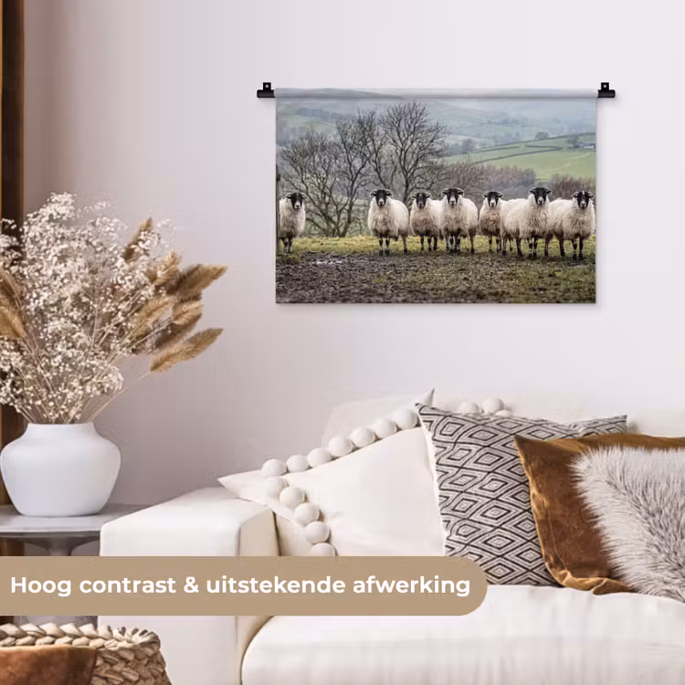 Wandkleed - Schapen - Rij - Weide - Dieren - Platteland — 4