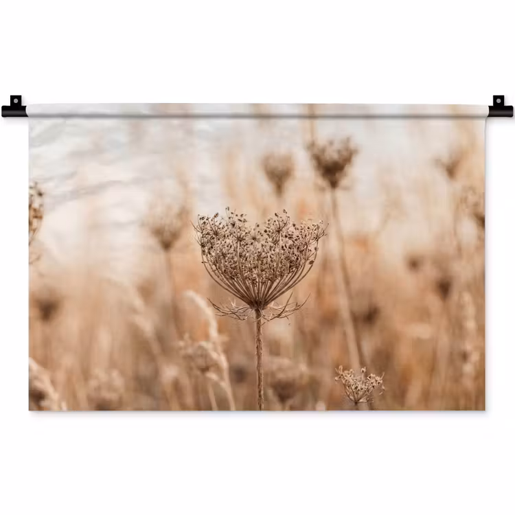 Wandkleed - Schermbloem - Droogbloem - Winter - Beige - Minimalistisch — 1