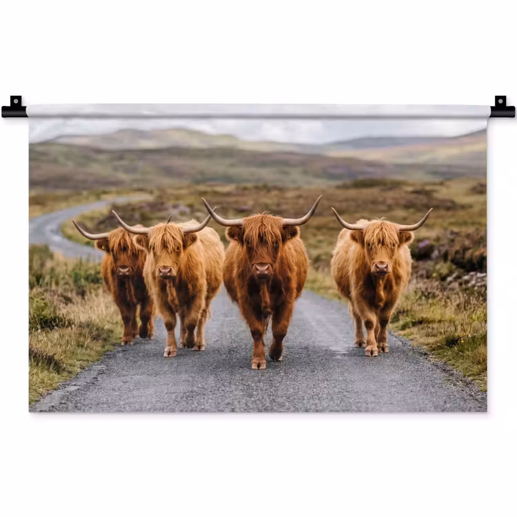 Wandkleed - Schotse Hooglanders - Weg - Landschap - Kudde — 1