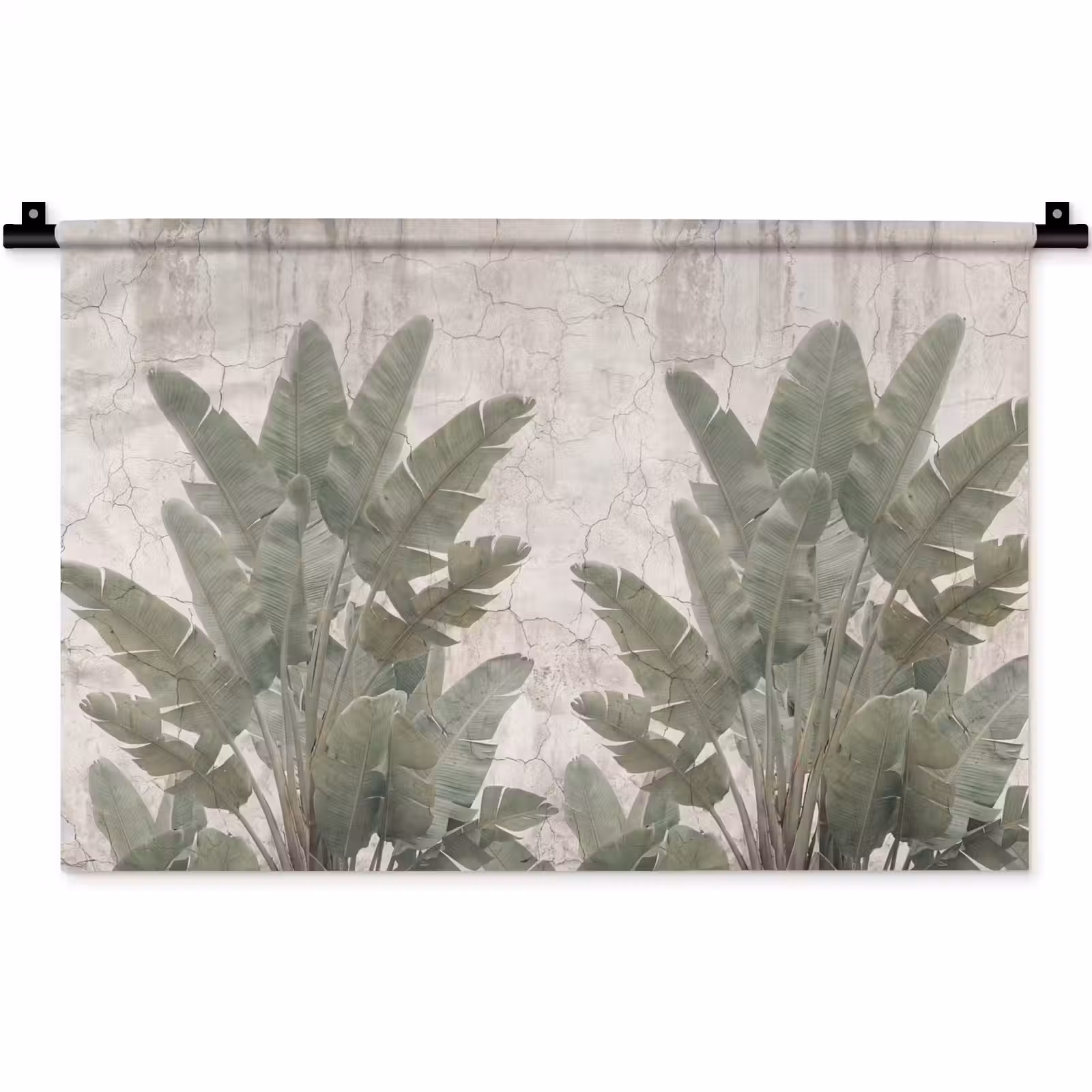 Wandkleed - Bananenbladeren - Beton - Groen — 1