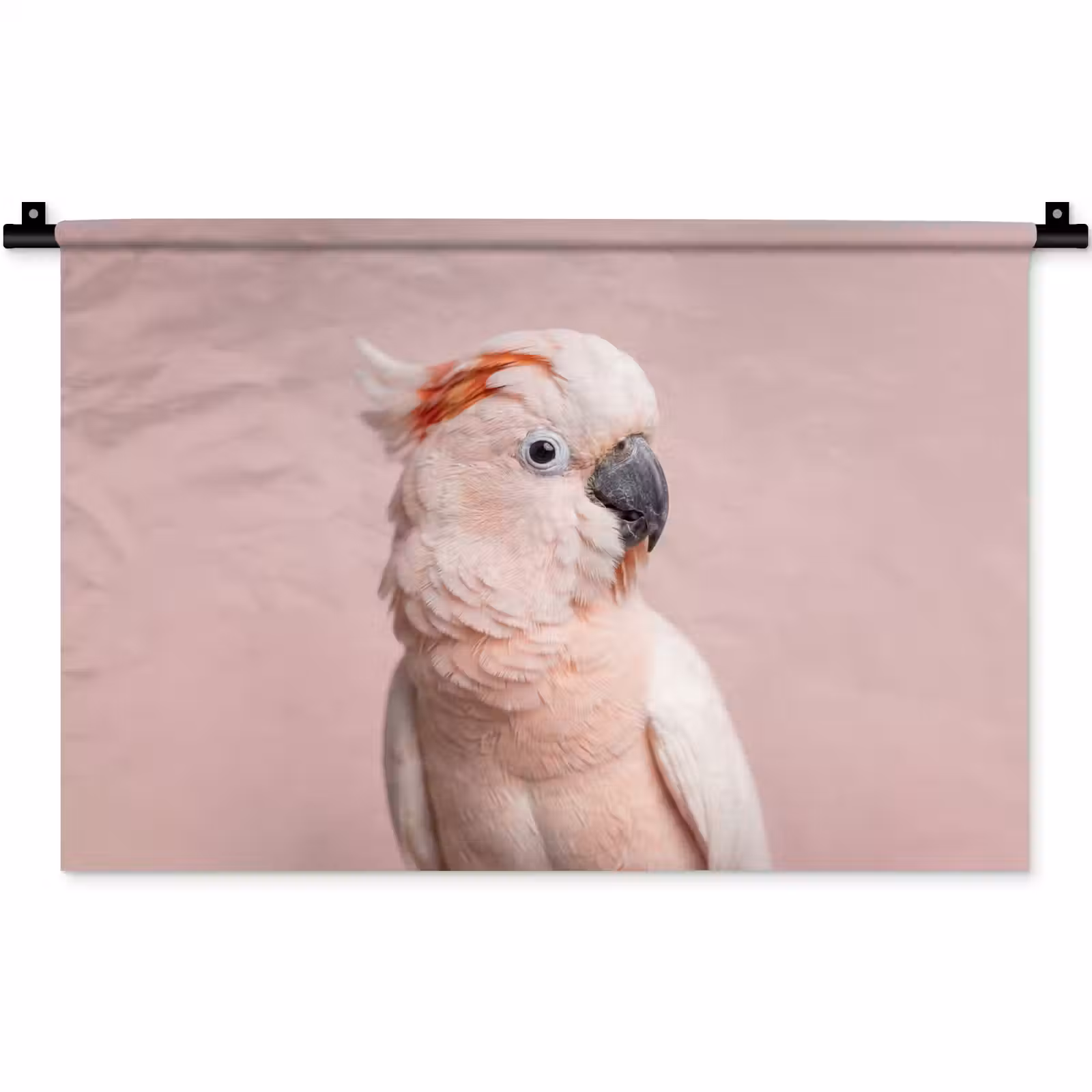 Wandkleed - Kaketoe - Portret - Roze — 1