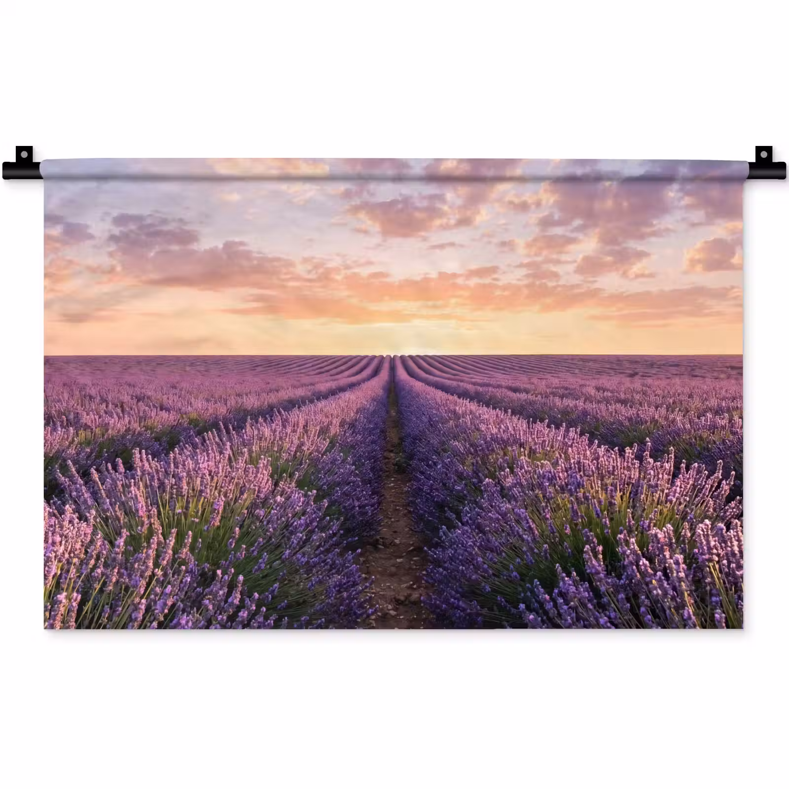 Wandkleed - Landschap - Lavendelveld - Paars — 1