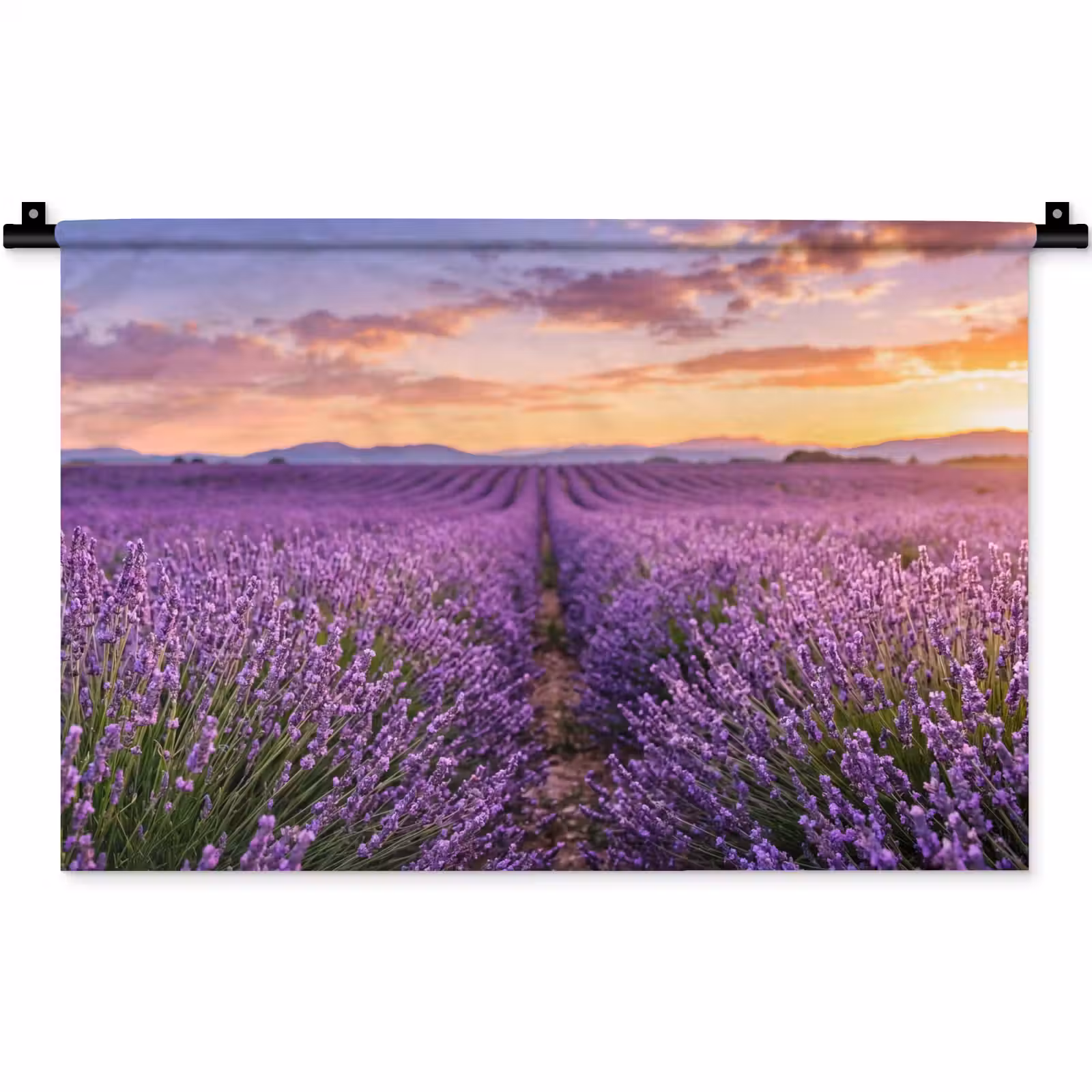 Wandkleed - Lavendel - Veld - Natuur - Paars — 1
