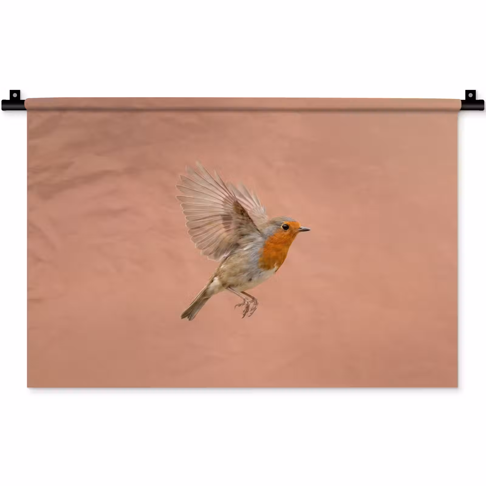 Wandkleed - Roodborst - Natuur - Roze — 1