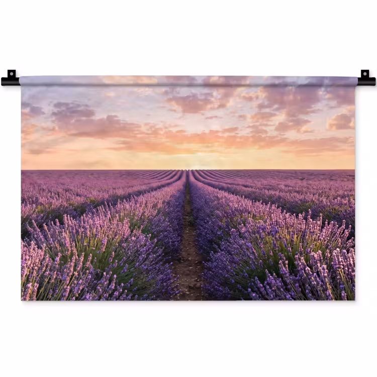 Wandkleed - Landschap - Lavendelveld - Paars — 1