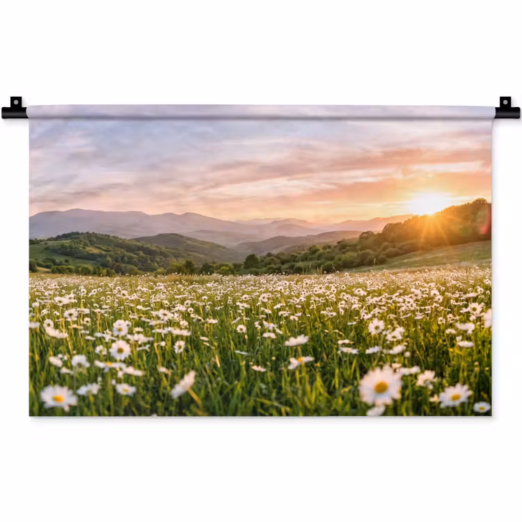 Wandkleed - Madelief - Veld - Heuvels - Groen — 1