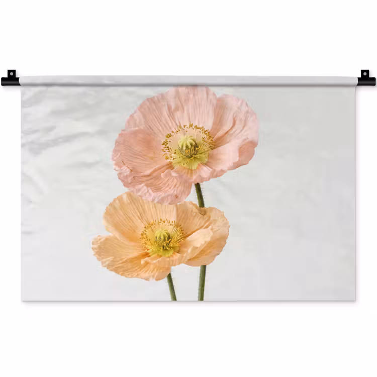 Wandkleed - Papavers - Botanisch - Roze — 1