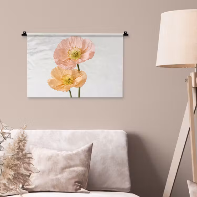 Wandkleed - Papavers - Botanisch - Roze — 2