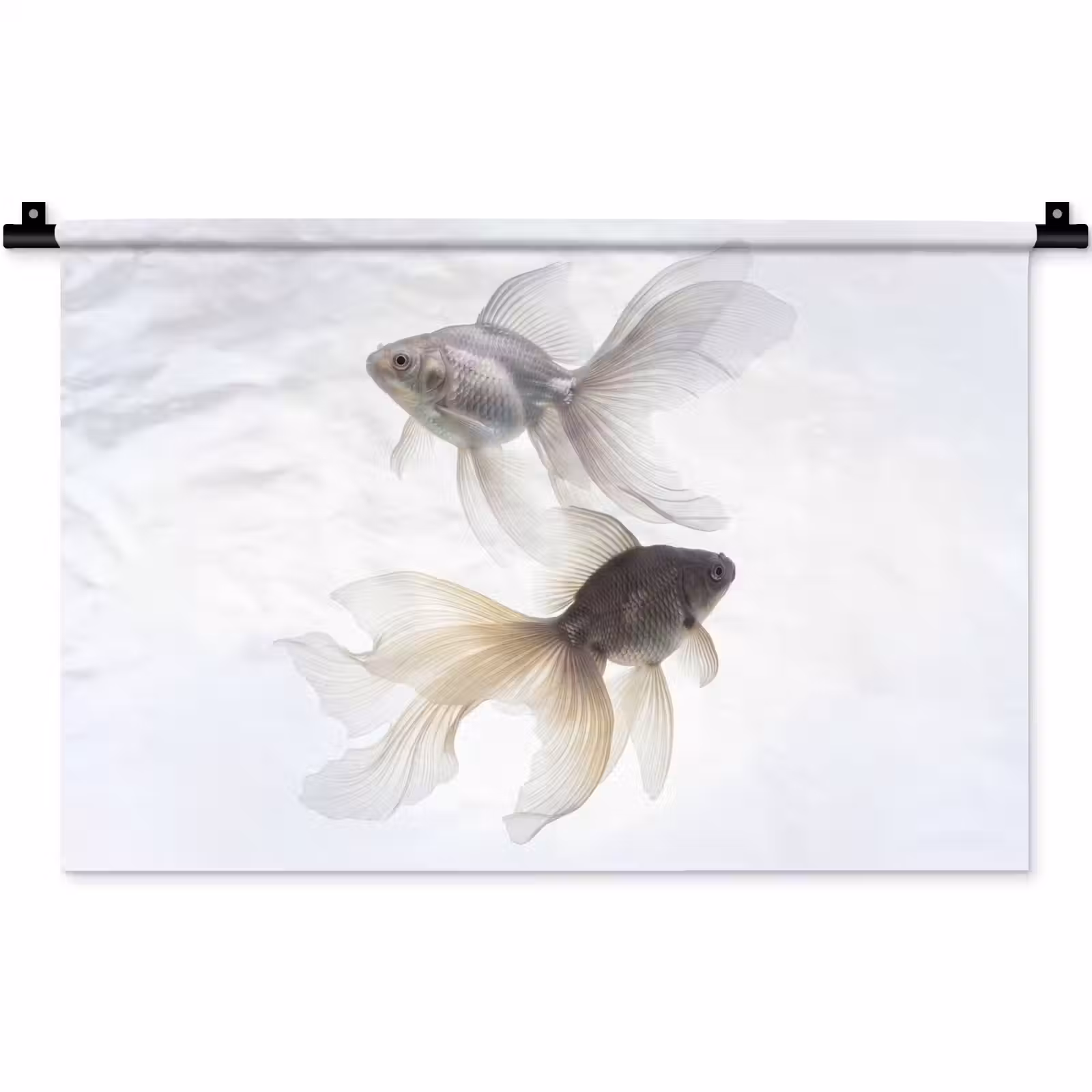 Wandkleed - Goudvissen - Modern - Wit — 1