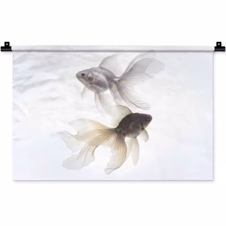 Wandkleed - Goudvissen - Modern - Wit — 1