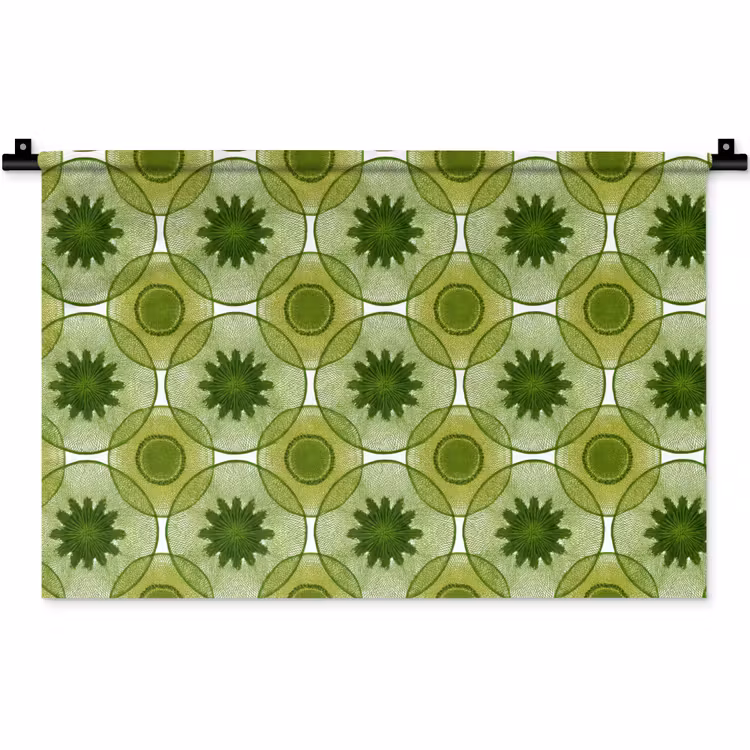 Wandkleed - Cirkels - Patroon - Groen — 1
