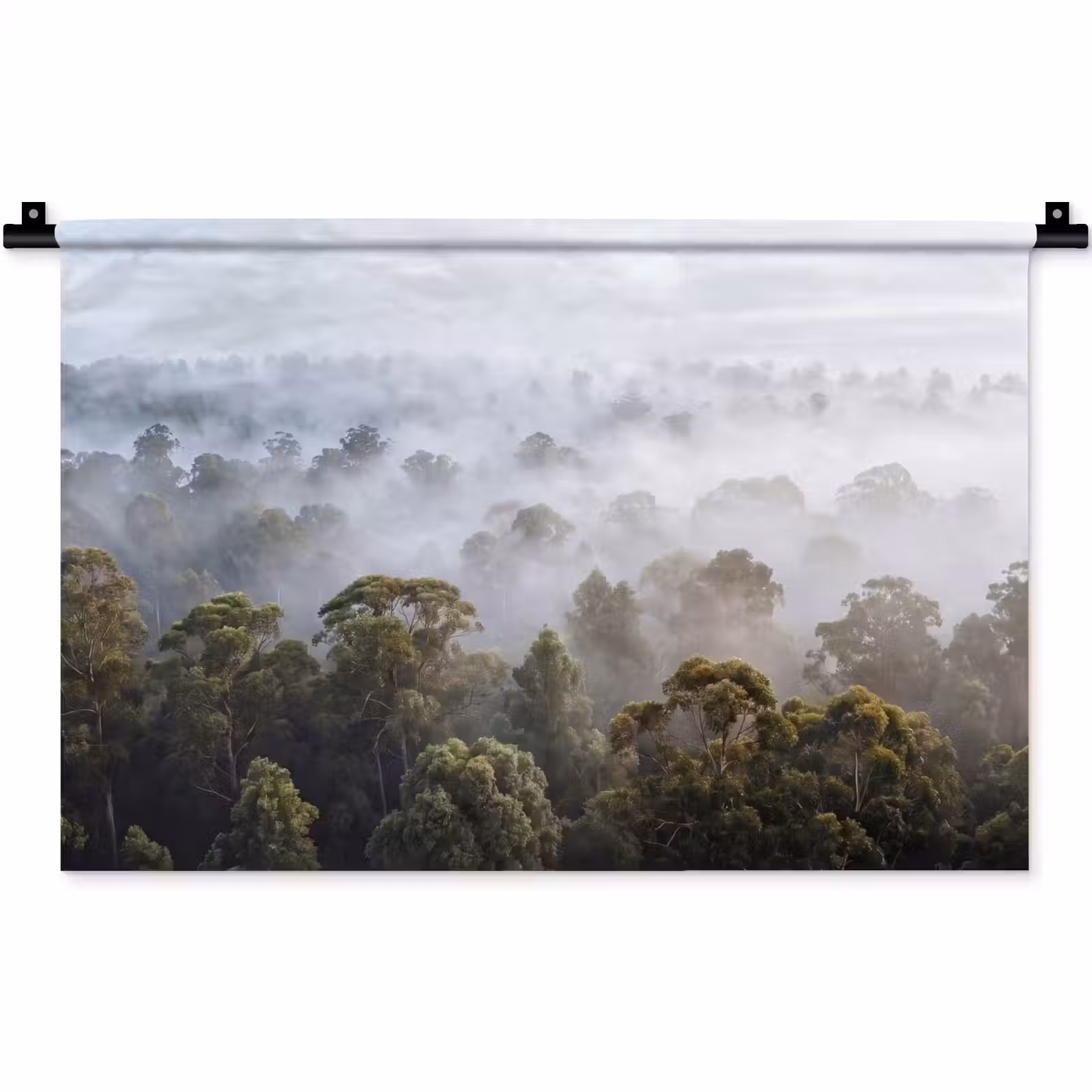 Wandkleed - Natuur - Mist - Bos - Ochtend - Goud — 1