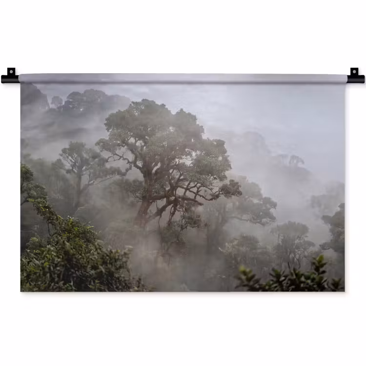 Wandkleed - Boom - Mistig - Bos - Groen - Natuur — 1