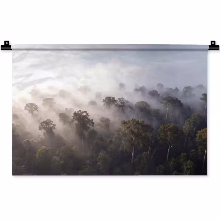 Wandkleed - Bos - Mist - Natuur - Groen — 1