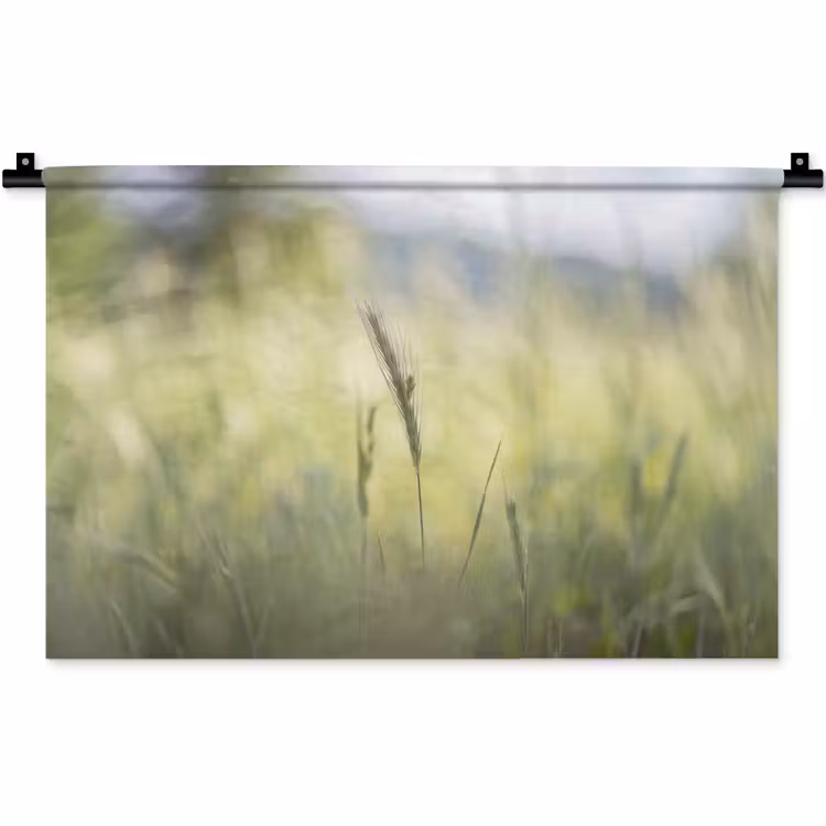 Wandkleed - Graan - Aar - Natuur - Groen - Detail — 1
