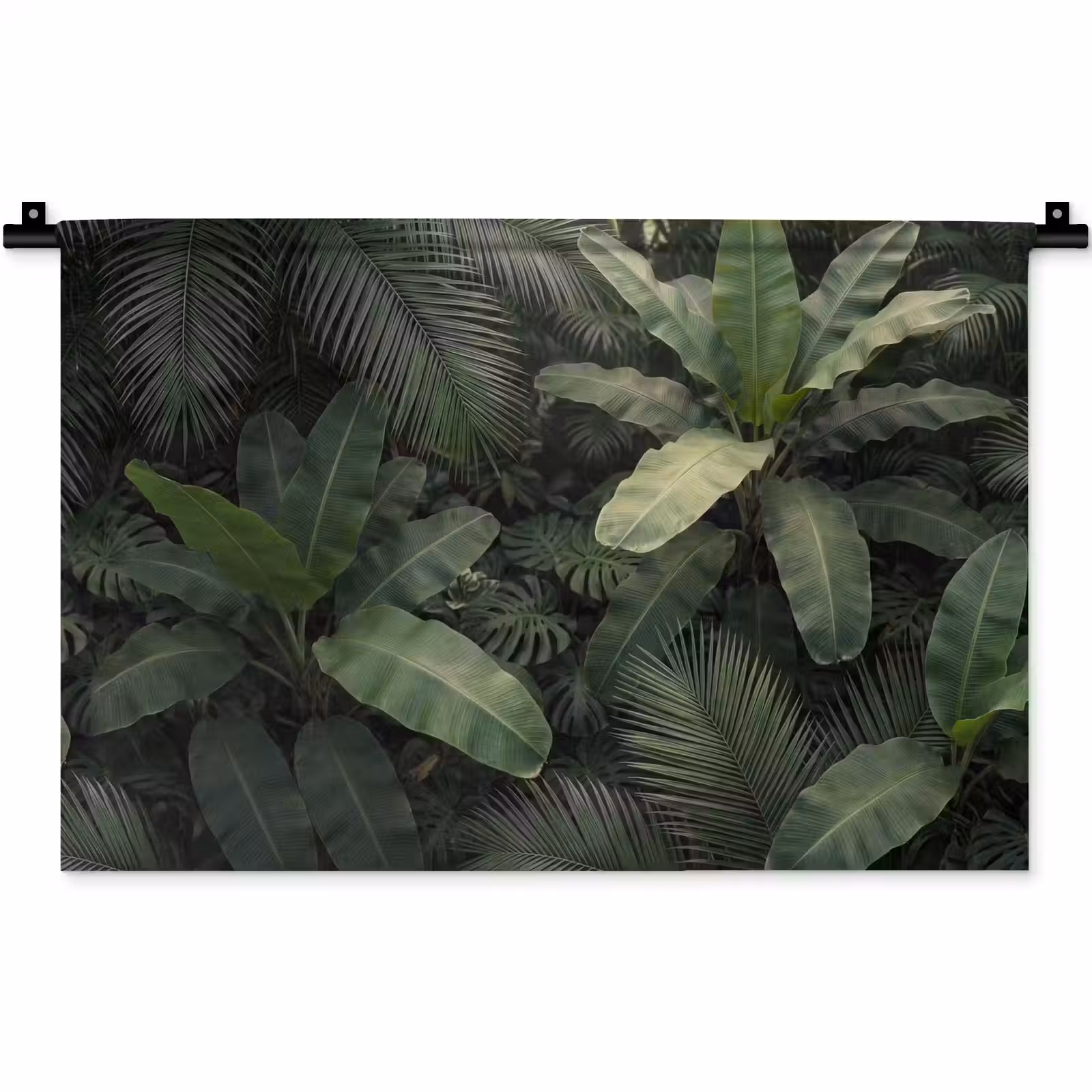 Wandkleed - Bladeren - Groen - Tropisch - Natuur — 1