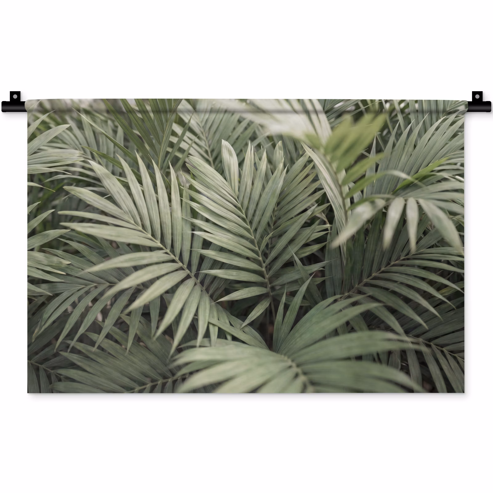 Wandkleed - Plant - Palmbladeren - Natuur - Groen — 1