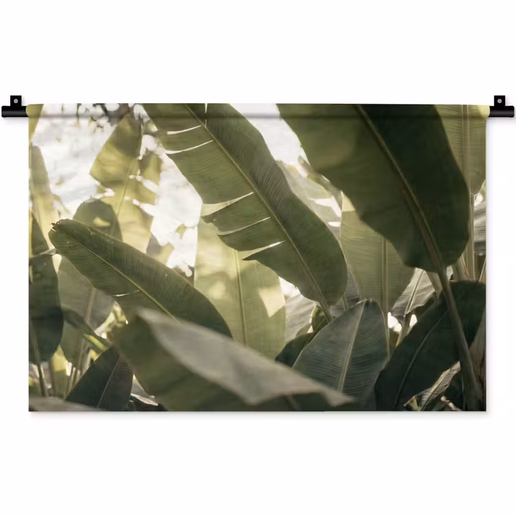 Wandkleed - Natuur - Bladeren - Groen - Tropisch - Detail — 1
