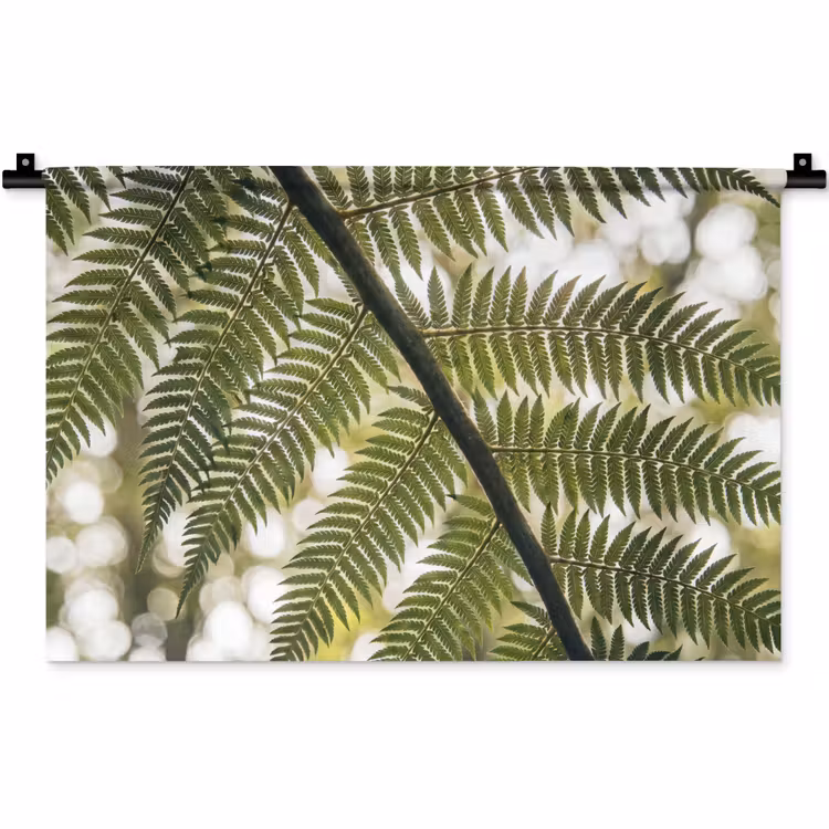 Wandkleed - Plant - Blad - Natuur - Groen - Detail — 1
