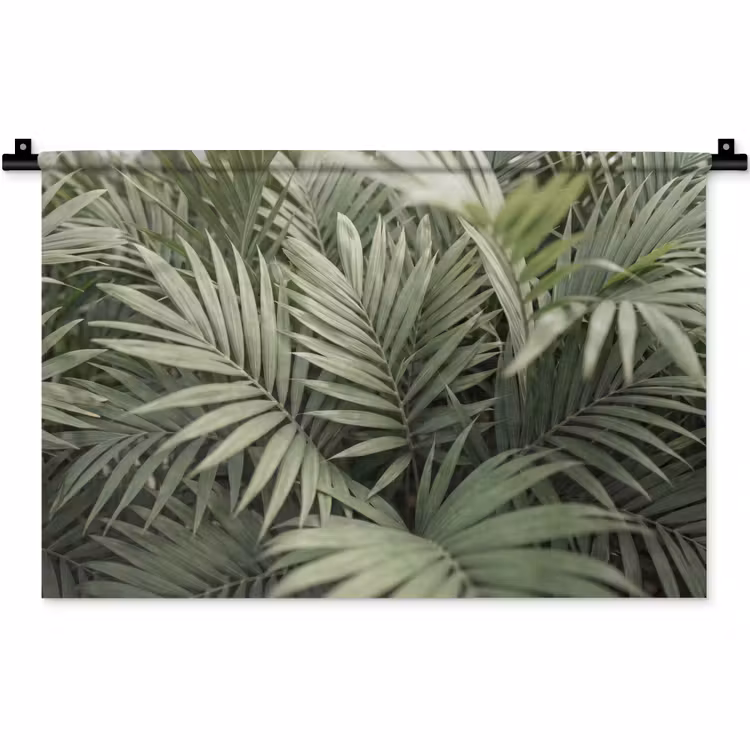Wandkleed - Plant - Palmbladeren - Natuur - Groen — 1