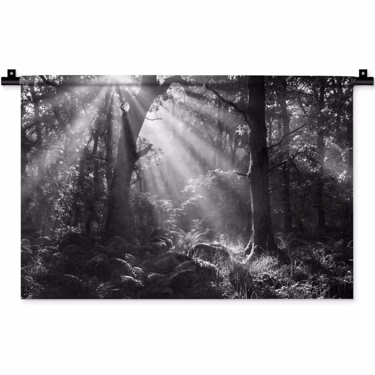 Wandkleed - Bos - Lichtstralen - Natuur - Zwart-wit — 1
