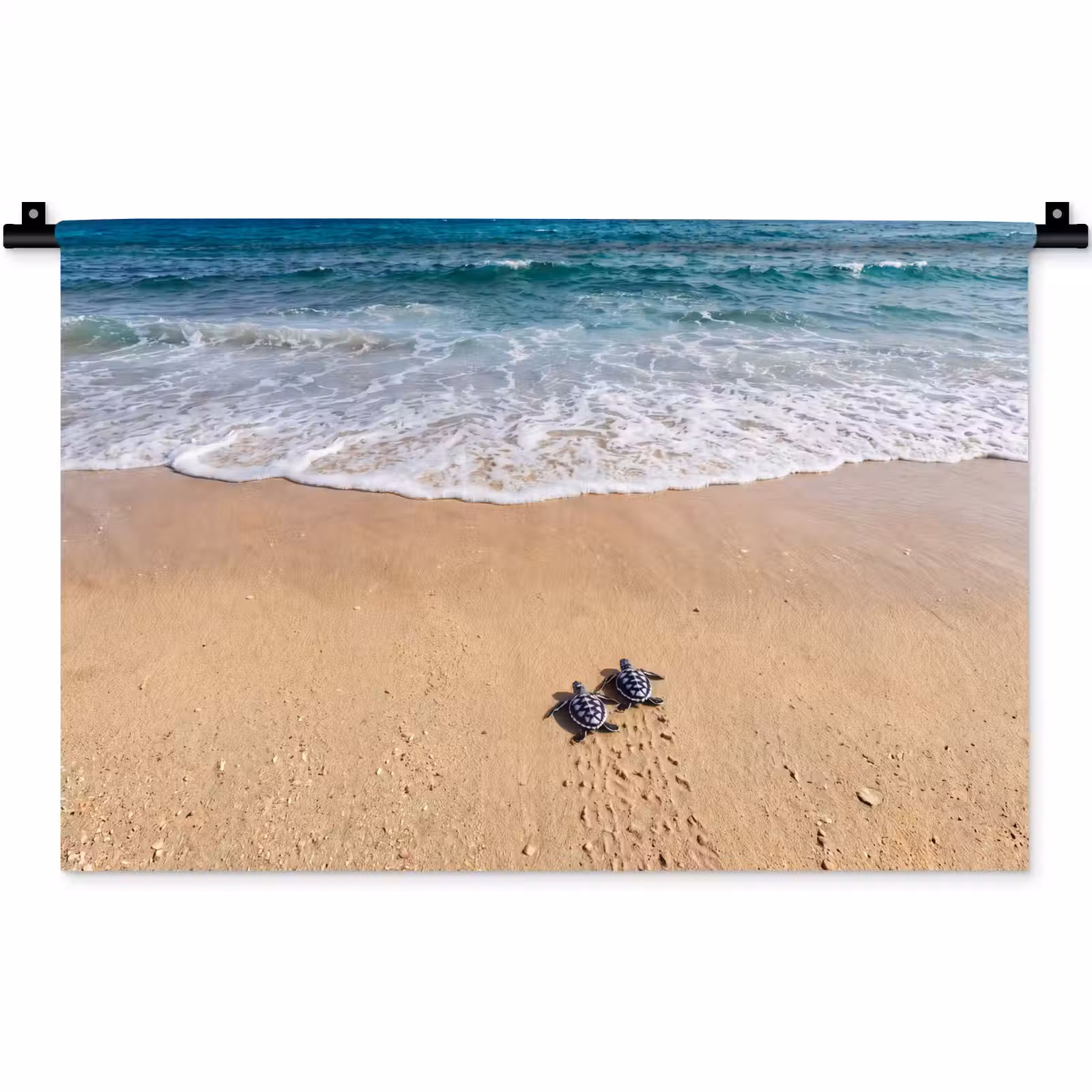 Wandkleed - Schildpad - Jong - Strand - Oceaan - Blauw — 1