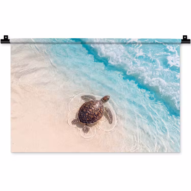 Wandkleed - Schildpad - Helder water - Strand - Dieren - Natuur — 1