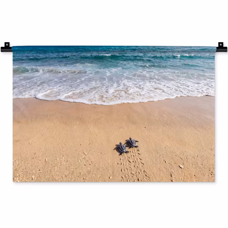 Wandkleed - Schildpad - Jong - Strand - Oceaan - Blauw — 1