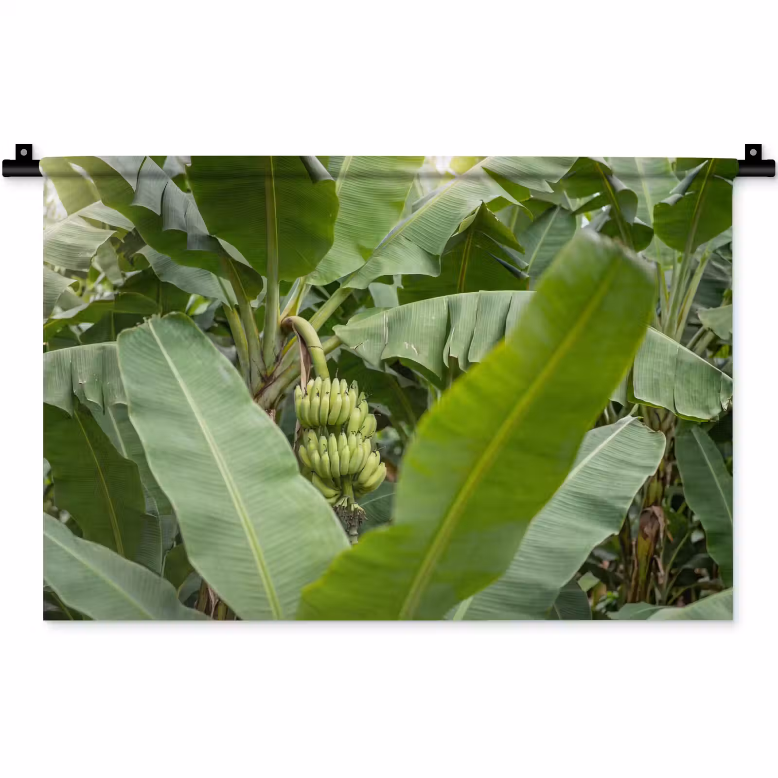 Wandkleed - Eten - Bananen - Plantage - Groen — 1