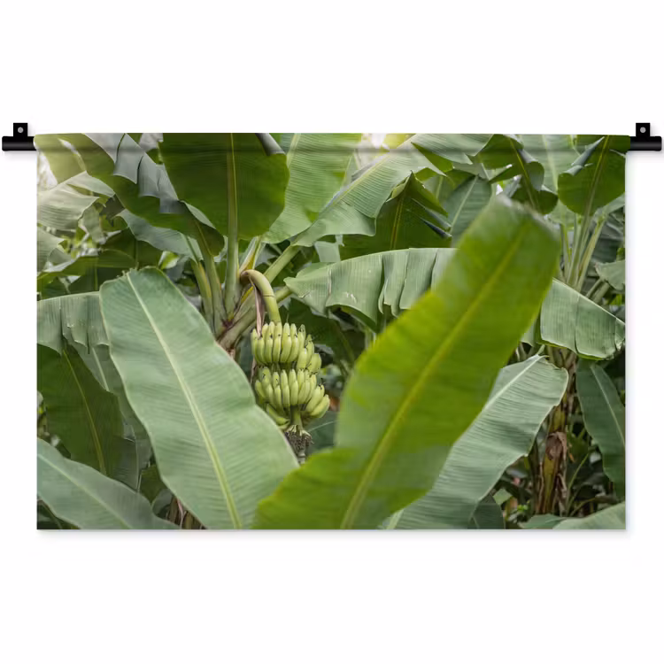 Wandkleed - Eten - Bananen - Plantage - Groen — 1