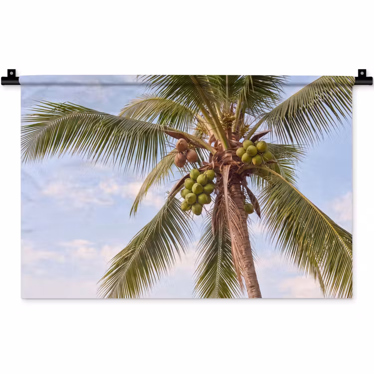 Wandkleed - Kokosnoot - Boom - Tropisch - Natuur - Groen — 1