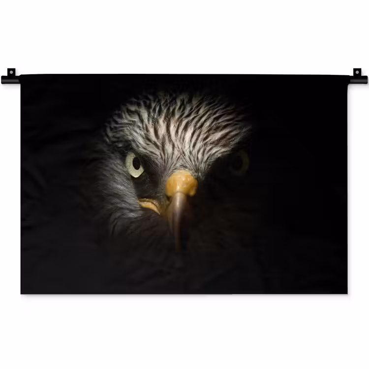 Wandkleed - Vogel - Adelaar - Roofvogels - Oog - Snavel - Licht — 1