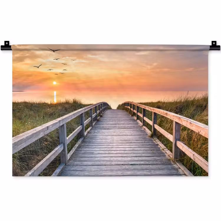 Wandkleed - Zonsonderang - Zee - Pad - Gras - Duin - Vogels — 1