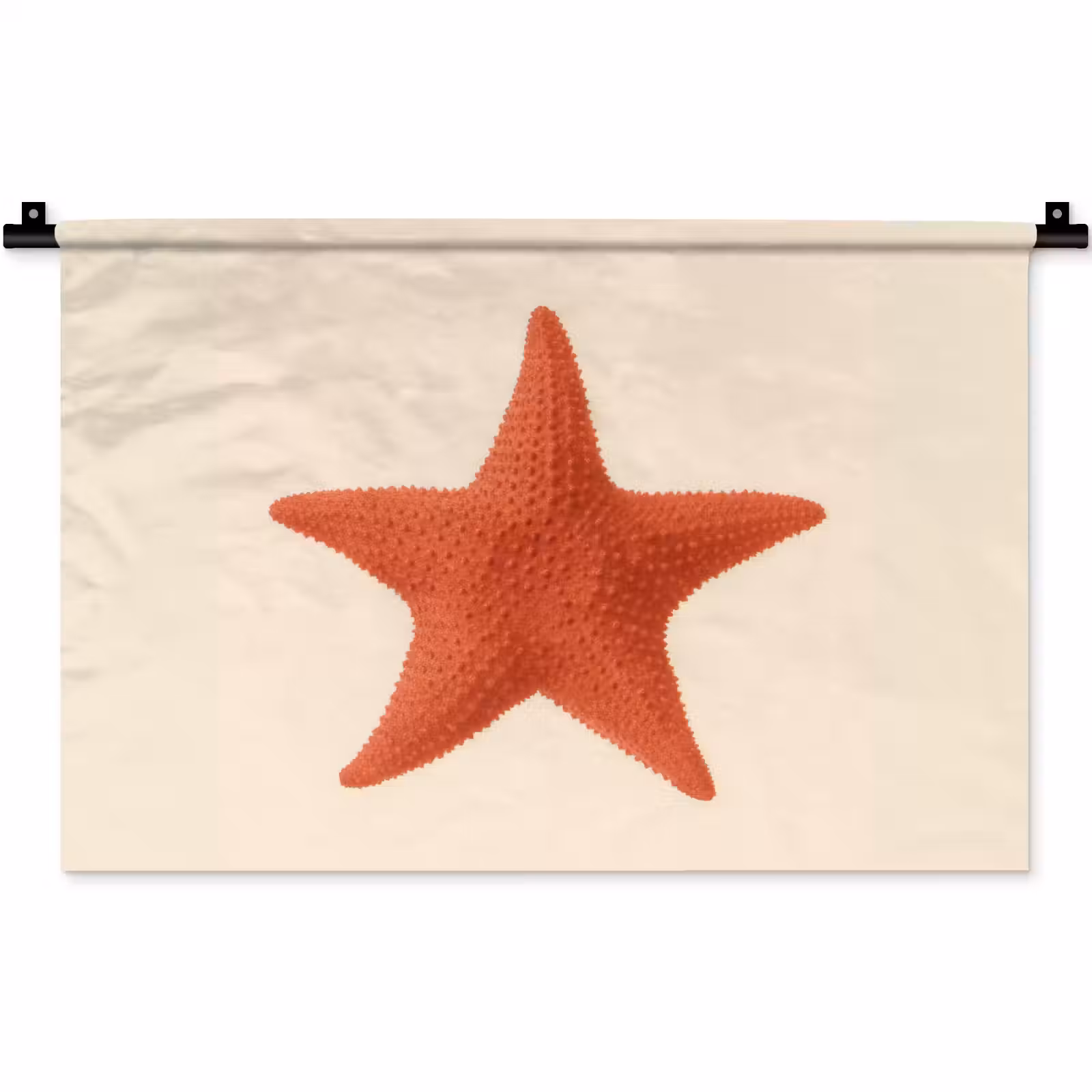 Wandkleed - Zeester - Bobbels - Rood — 1
