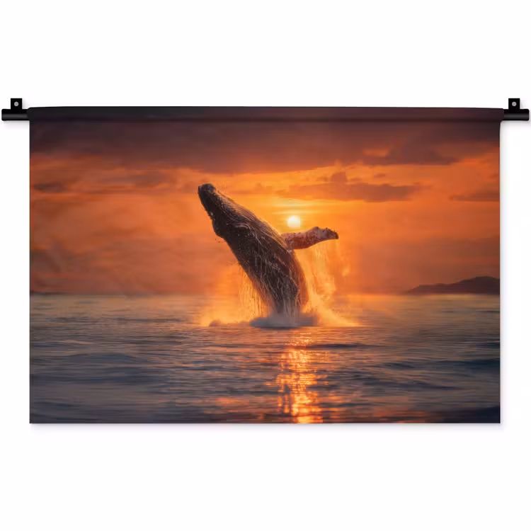 Wandkleed - Walvis - Zon - Zee — 1